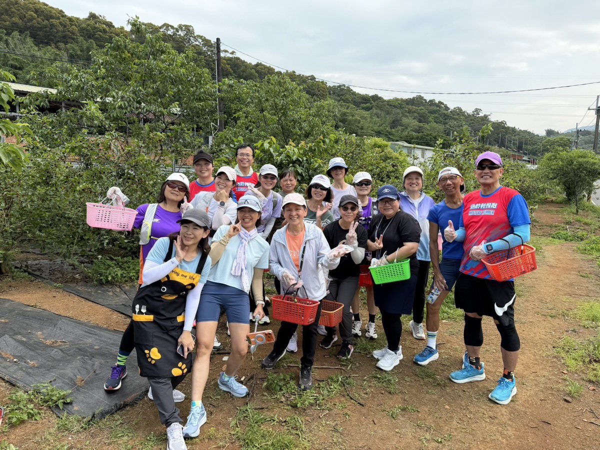 peterfe99452877's tweet photo. 昨天是慢跑班的跑聚活動，首先在北新路口沿著公司田溪到新市一路來回跑。
熱身之後，來到今天的重頭戲，採桑椹之旅。這家果園的闆娘就是我們班的女同學，招待我們喝桑椹汁與桑椹蜜餞。
大夥使出渾身解數，開始採摘，把握時間，因為桑椹的產季就是四月，錯過就要等明年了
接近中午時，大家已經收穫滿滿 https://t.co/v5PN6J8BIq