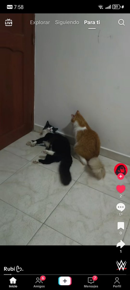 ✩ Choco Darki ✩ tweet media