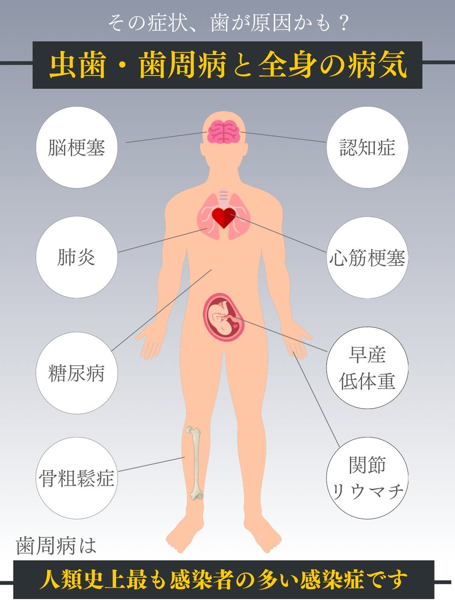 つーさん | 図解・資料制作デザイナー🦷 tweet media