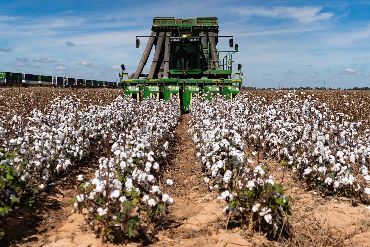 Texas A&M AgriLife Research tweet media