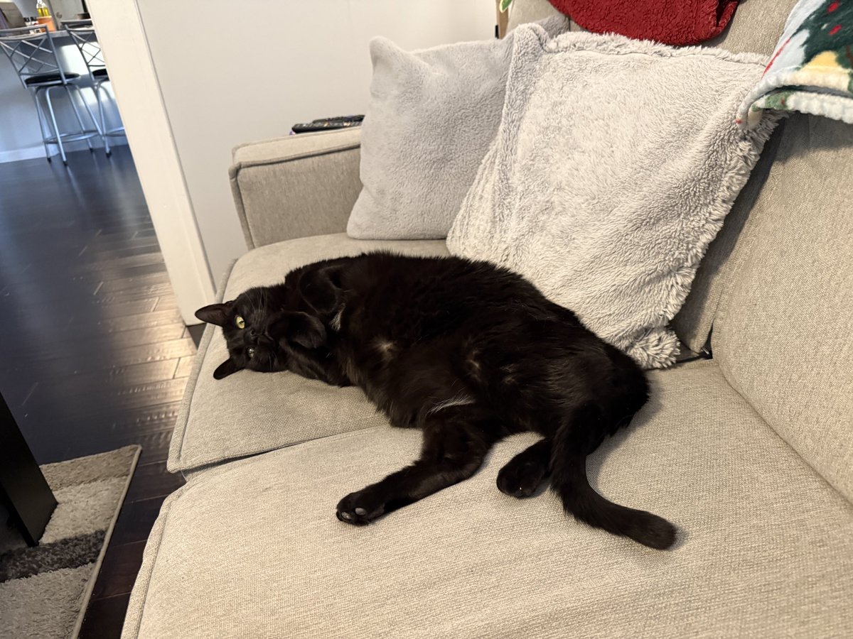 This is Mindy 🐈‍⬛

バンドと一緒に旅できるのが大好きだけど、離れている間はこの猫が恋しいです！ツアーに連れていけたらいいのになあ