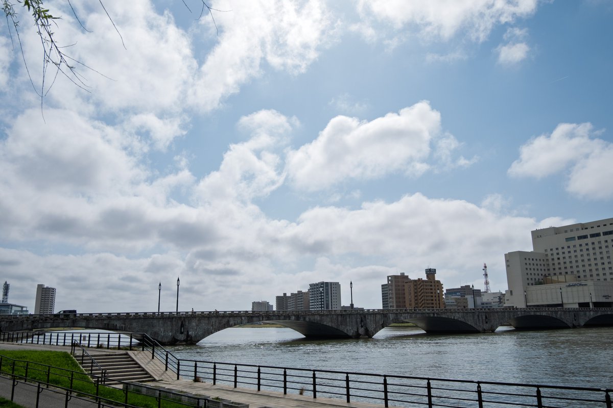 わんす tweet media