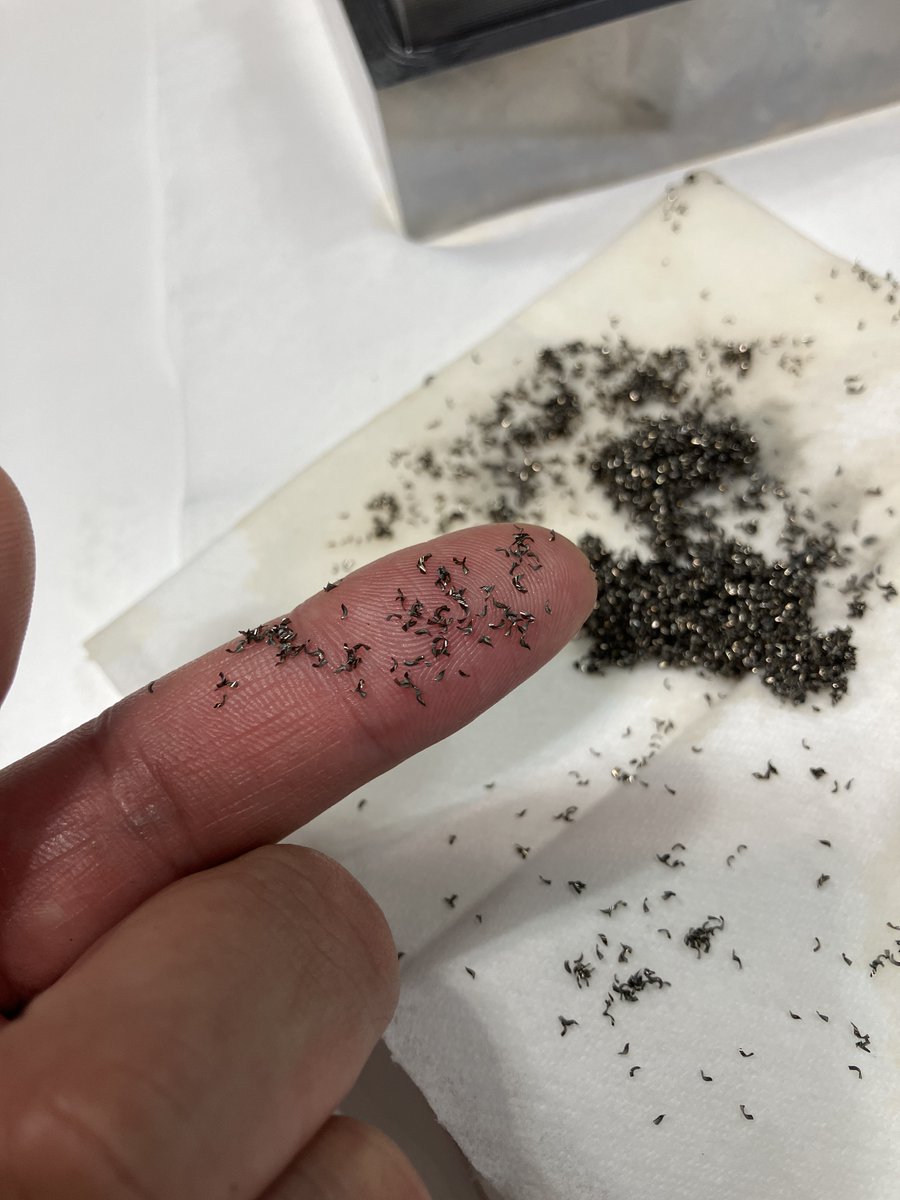 ギガ・セレクション【公式】 tweet media