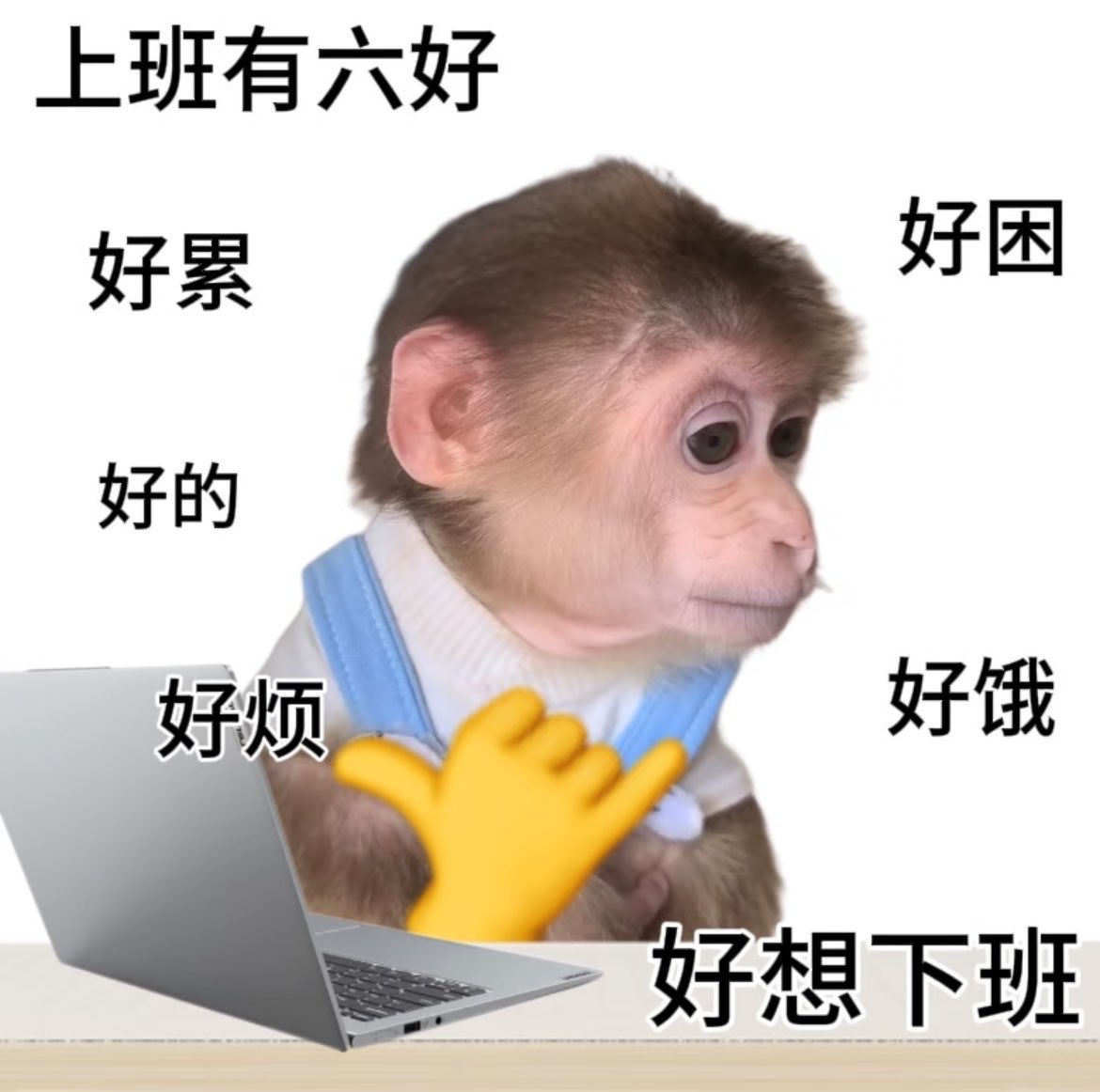 星星泡饭-v-（互fo超快版） tweet media