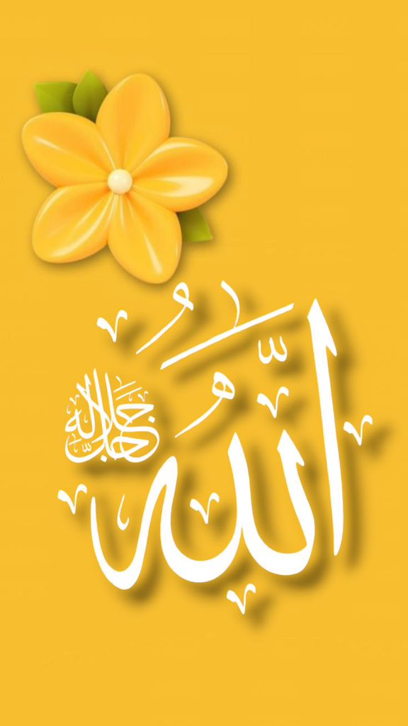 مرشد مغل🌹🇵🇰🌹 tweet media