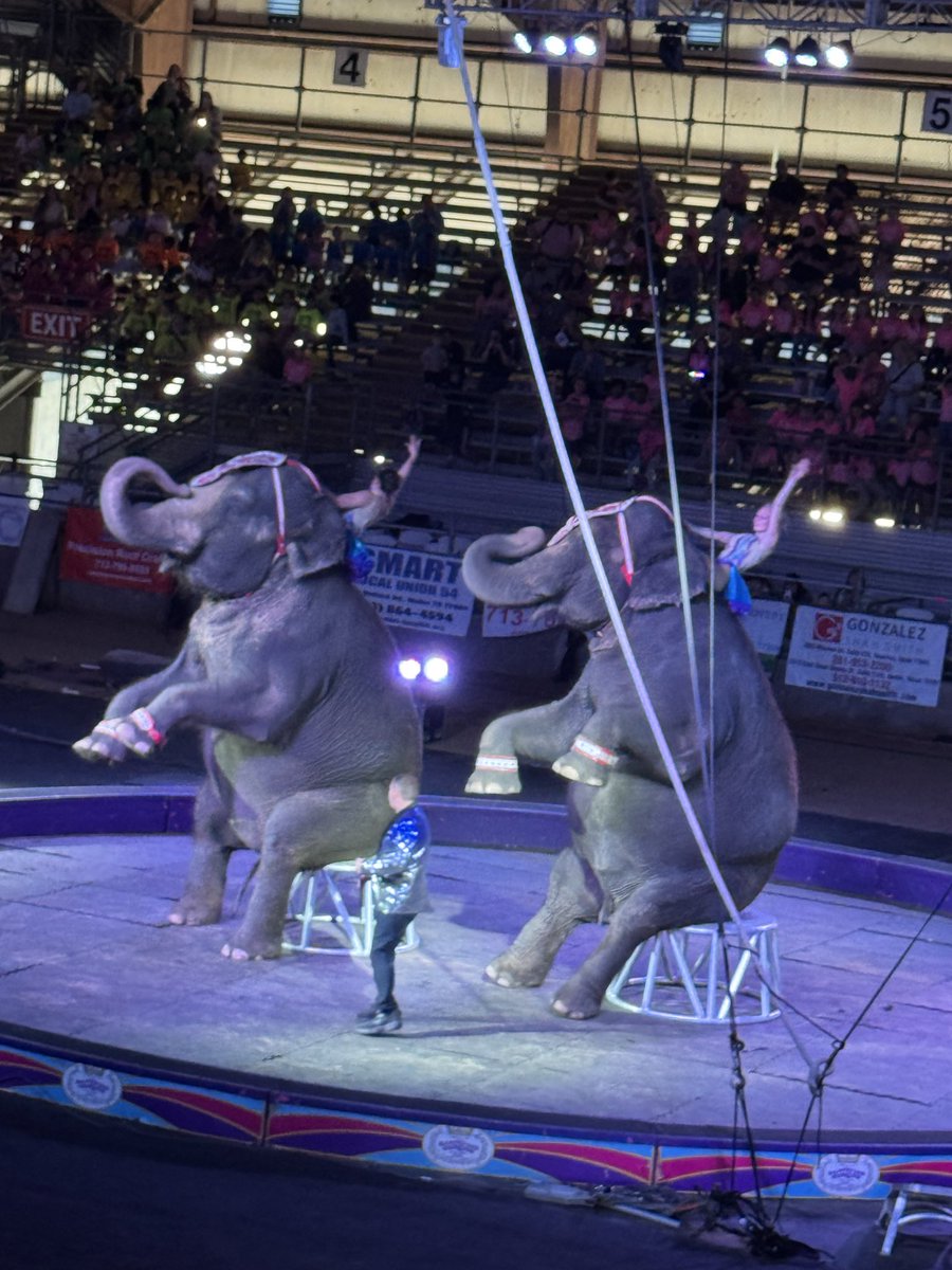 _TheCoachA's tweet photo. Shrine Circus field trip was 10/10 @HumbleISD_ECC https://t.co/HlqsWmDHdC