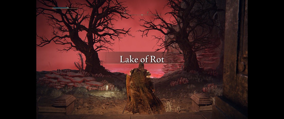 Mayhem 🦋 / Elden Ring tweet media