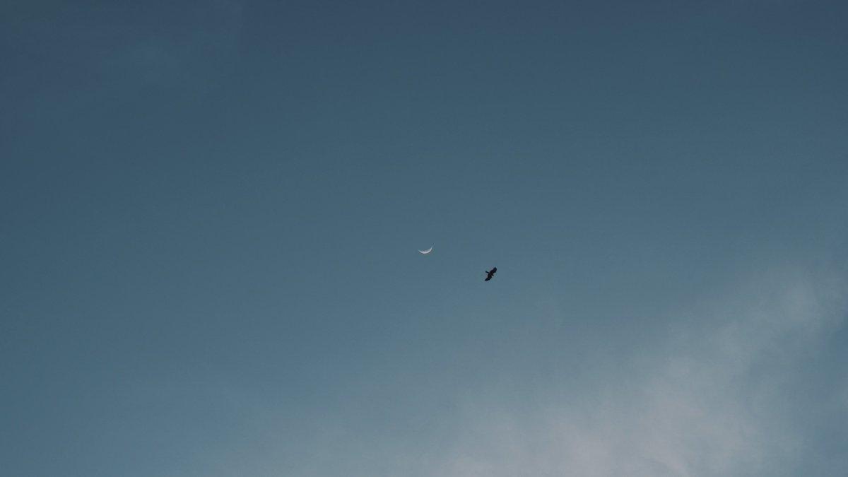 𝙢𝙞𝙞 tweet media