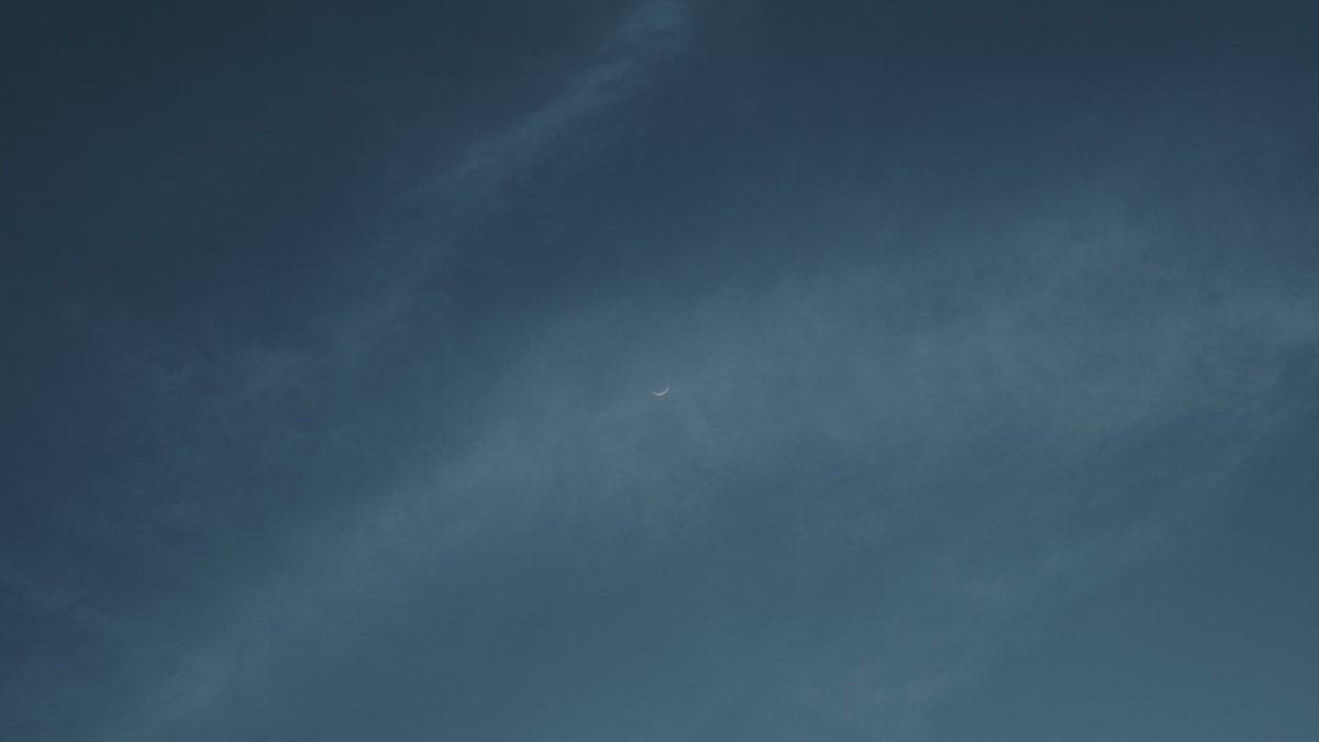 𝙢𝙞𝙞 tweet media