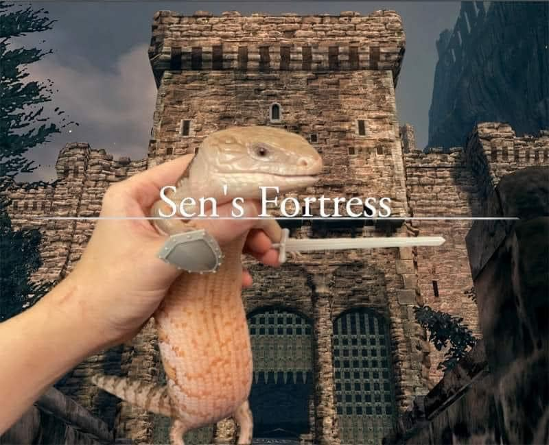 VideoArtGame tweet media