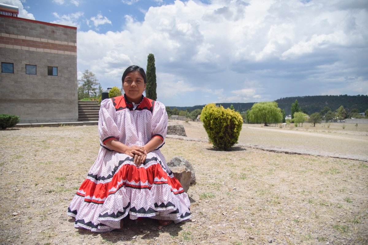 CECUT MX tweet media