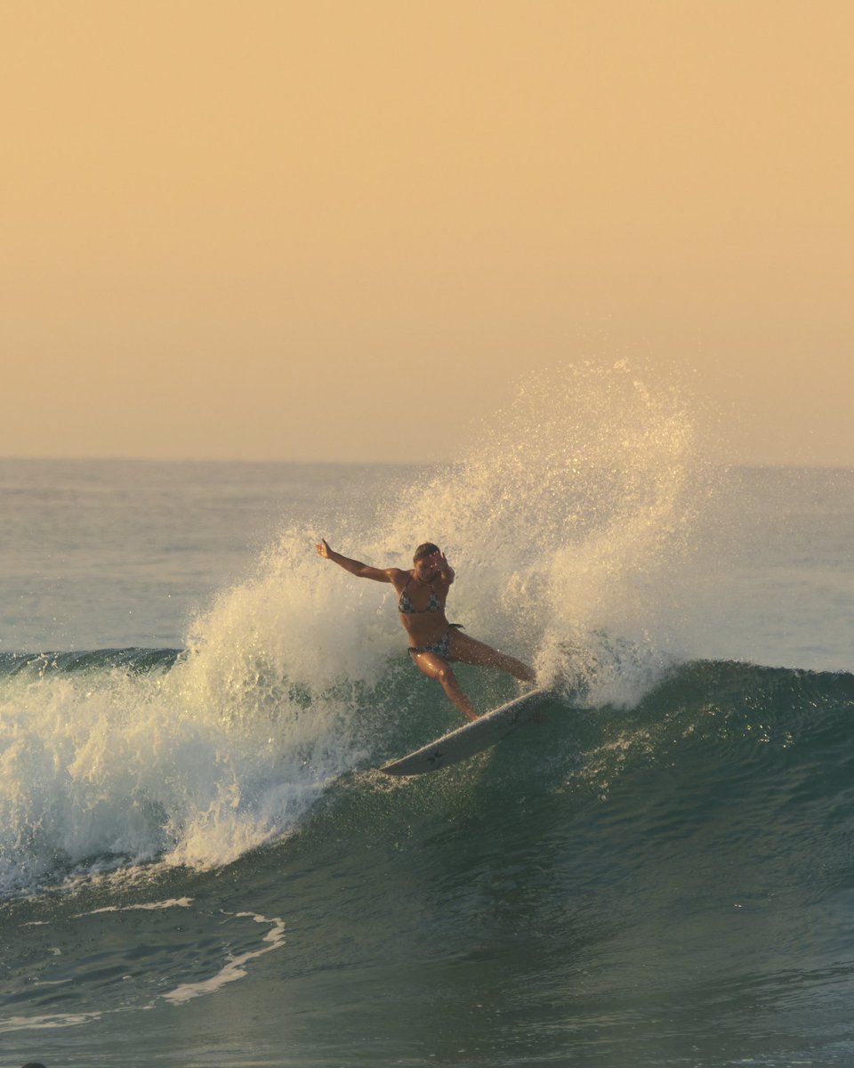 Surf City tweet media