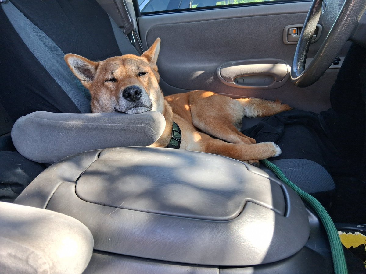 Jimmy 𝕏Đ tweet media