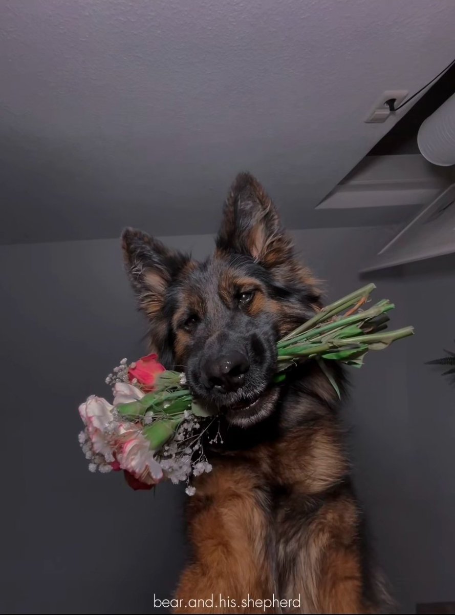 javas(silly²) tweet media