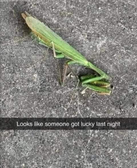 Leon S. Kennedy tweet media