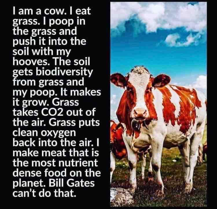 CalvinSwine905's tweet photo. @Sassafrass_84 @FarmGirlCarrie Yes!👍🏻 Ban #BillGates #LabGrownMeat. https://t.co/EsXIYXpfVu