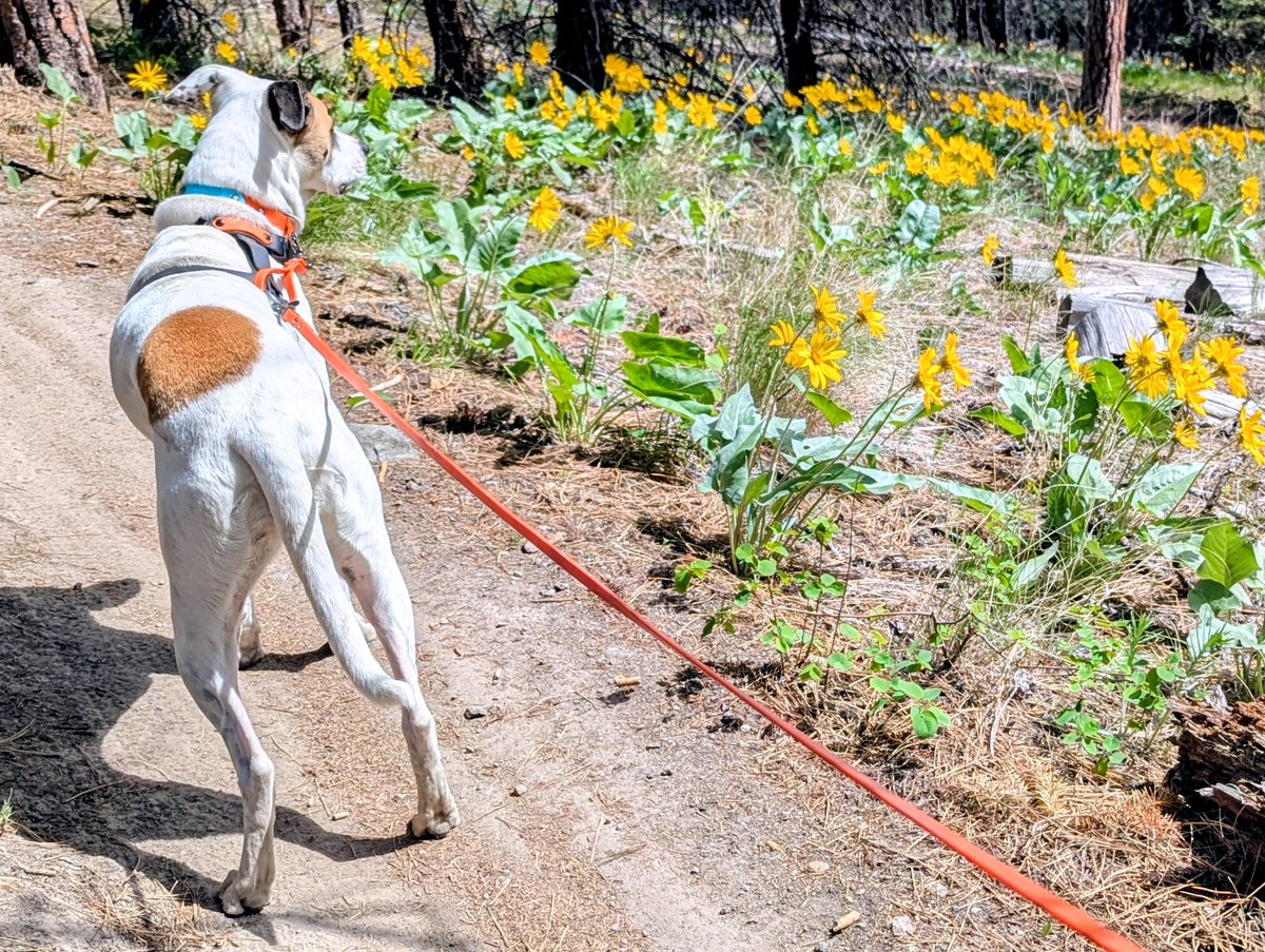 Eriko Sakaki tweet media