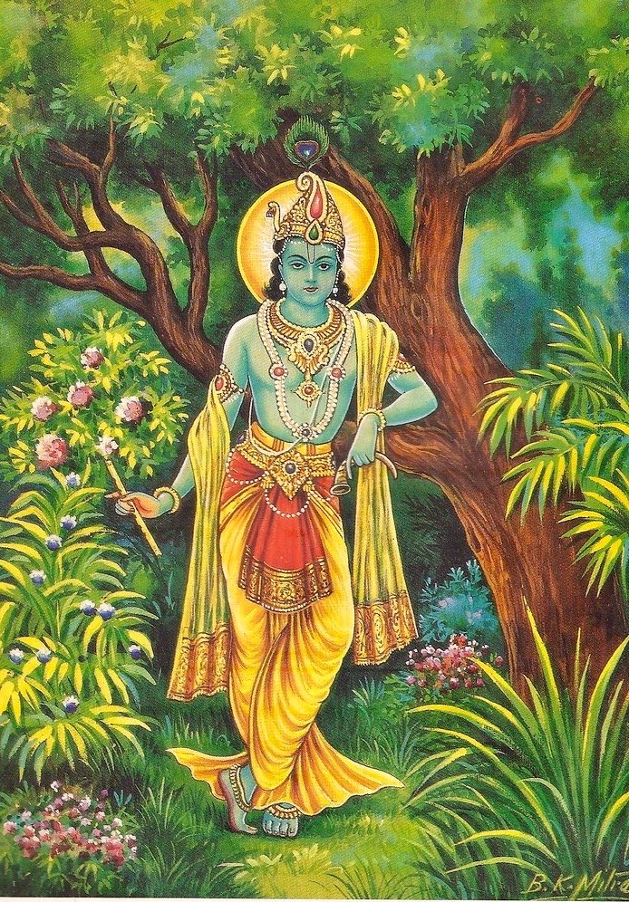 सनातनी भाई 🚩 tweet media