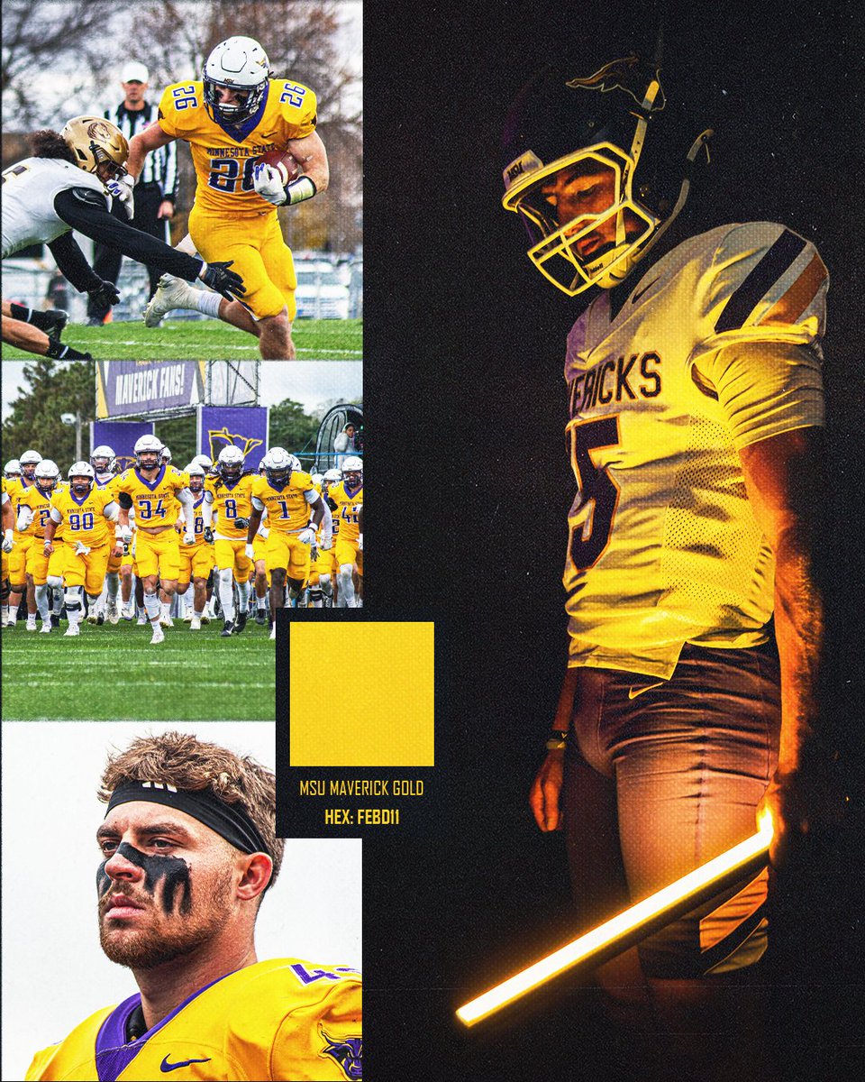 Minnesota State Football tweet media