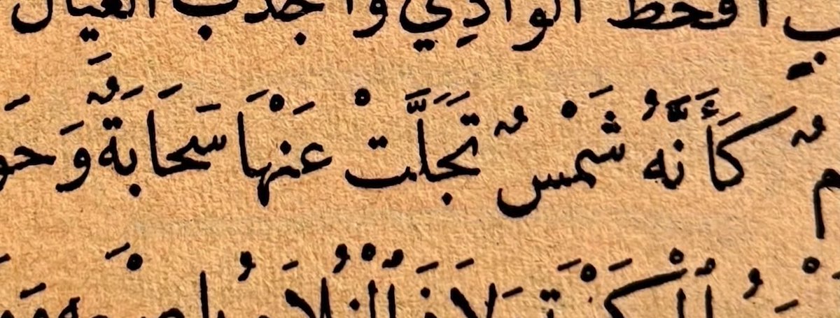 مَنار tweet media