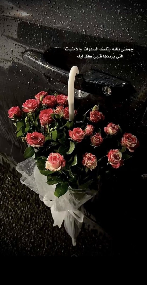 hs___2012's tweet photo. امين يارب العالمين 🤲🏻 https://t.co/vFYasHFPDS