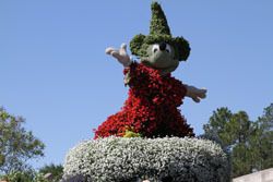 disneygeekcom's tweet image. Today In #DisneyHistory

1943 - Fall Out - Fall In (Donald Duck) 
1957 - Midget Autopia @ #Disneyland 
1993 - Indian Summer (Touchstone)

My pictures from - 
2003 &amp;amp; 2010 @ Disneyland
2008, 2012, 2013 &amp;amp; 2023 @ #WaltDisneyWorld

buff.ly/Hea6wJz 

#MickeyMouse #EPCOT