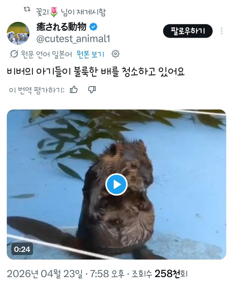 자기 닮은 동물을 좋아하는편..22