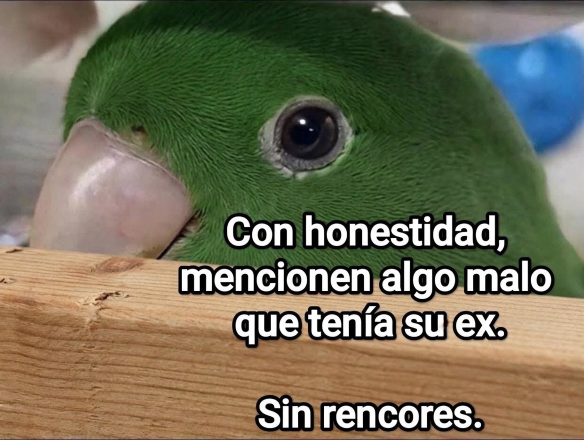 Cap Briagowsky tweet media