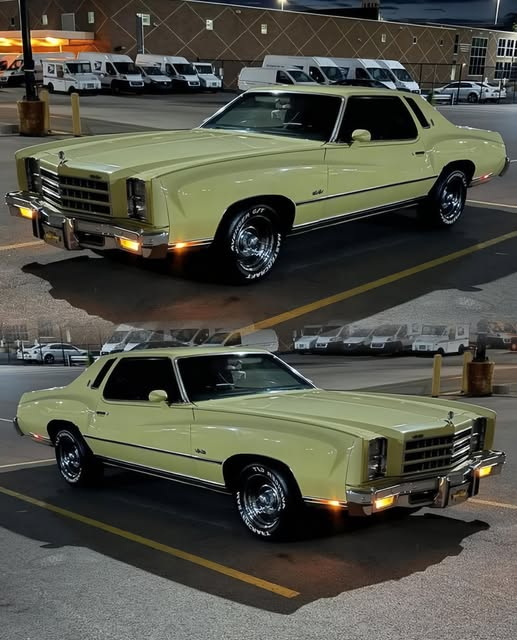 Samantha tweet media