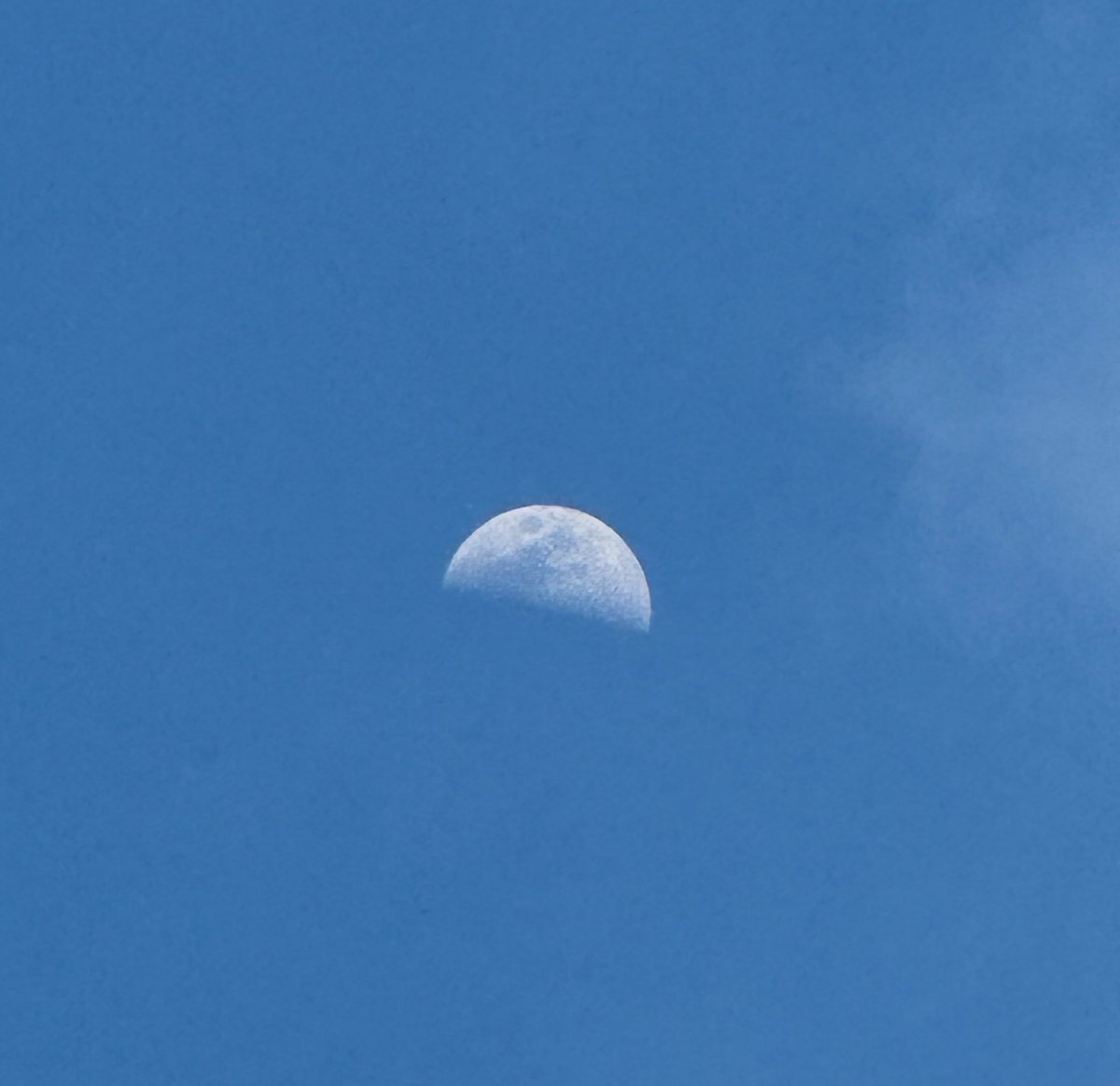 astro_jaz's tweet photo. another day of looking at the moon and thinking about how crazy it was to witness people going there!!!!! https://t.co/gtyfXaWr1H