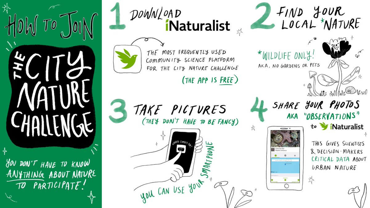 FresnoZoo's tweet photo. Nature? ✅Smartphone? ✅Curiosity? ✅ You’re ready to participate in the #CityNatureChallenge! 

From Apr. 24-27, people from 700+ cities around the world are using @inaturalist to share observations of animals, plants, and more. Swipe to learn how to join → https://t.co/vncaGUDPvv