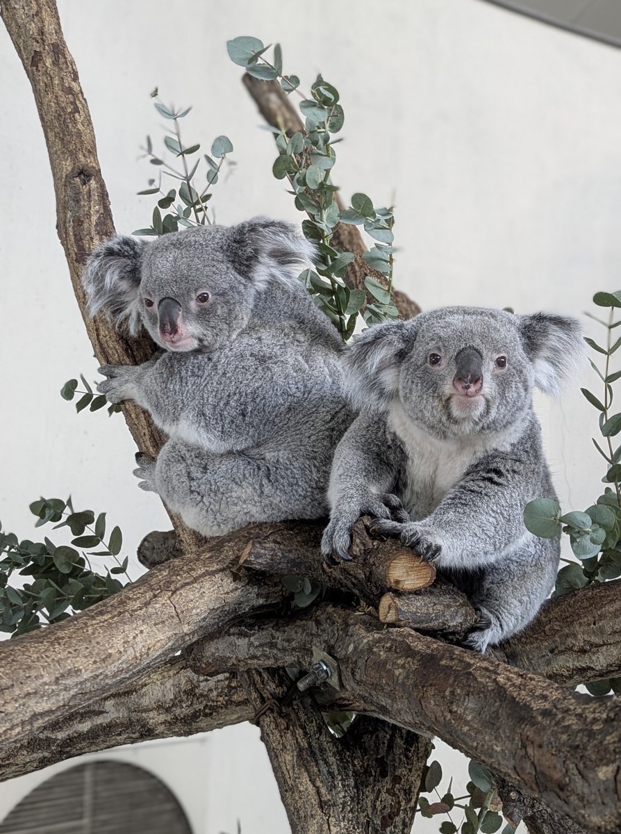搬出前の朝の親子ツーショットです。