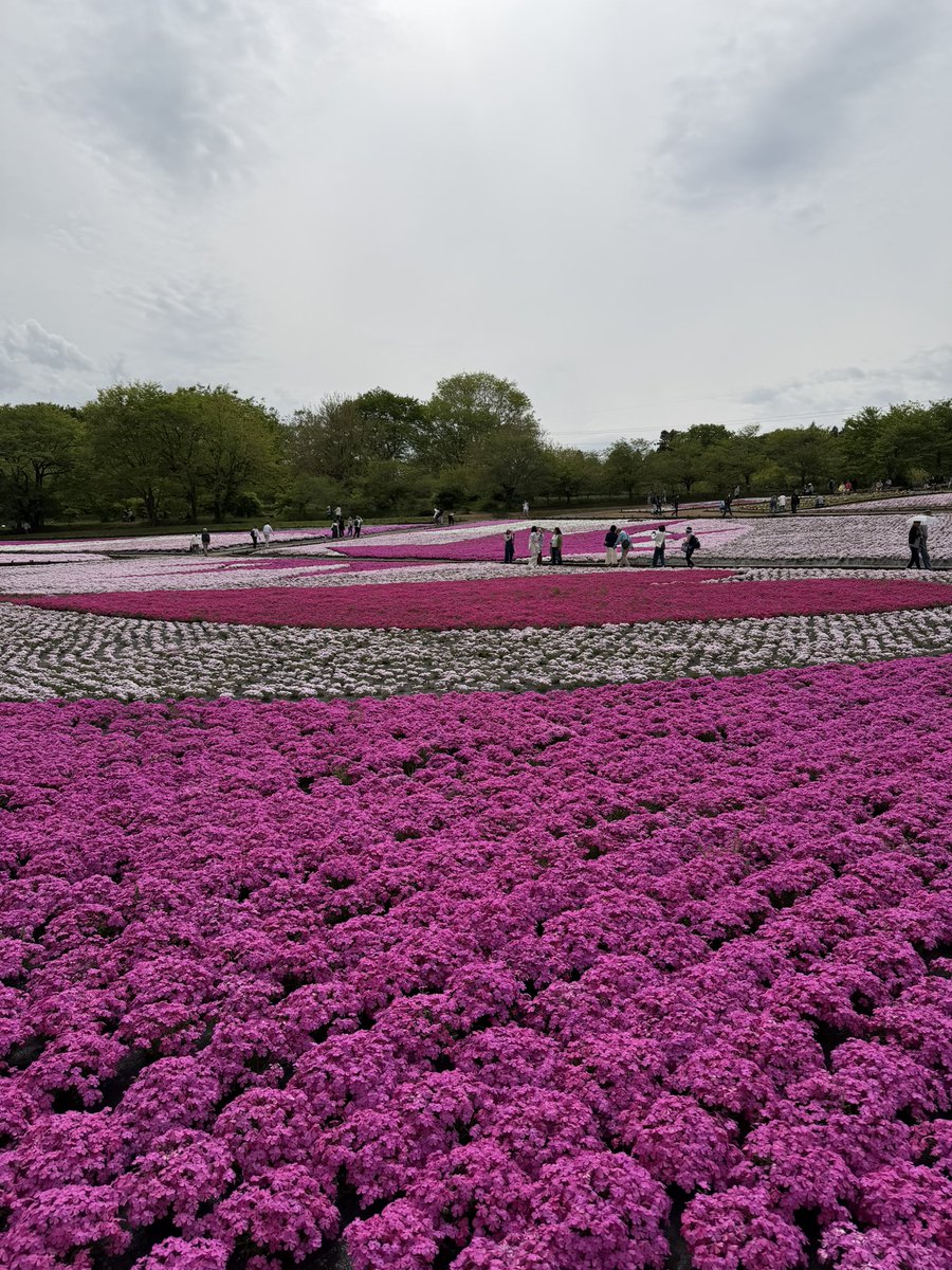 ちゃのへろ tweet media