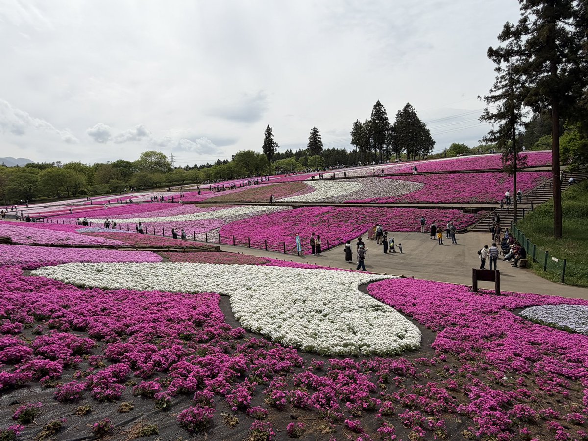 ちゃのへろ tweet media