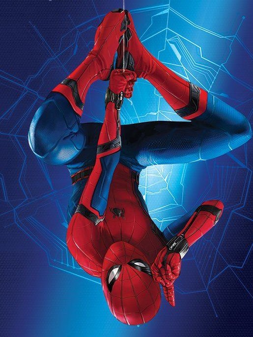 John | 🇵🇷 tweet media