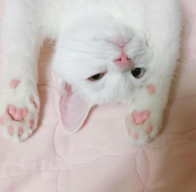 ?!?! (@uudgdvrbsbd) on Twitter photo 