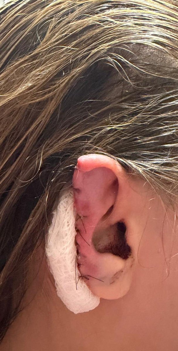 Beta Bastos tweet media