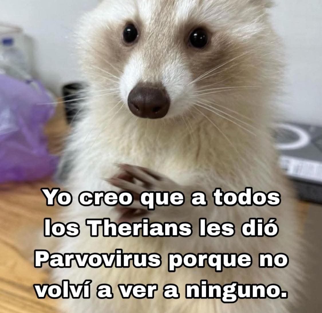 Cap Briagowsky tweet media