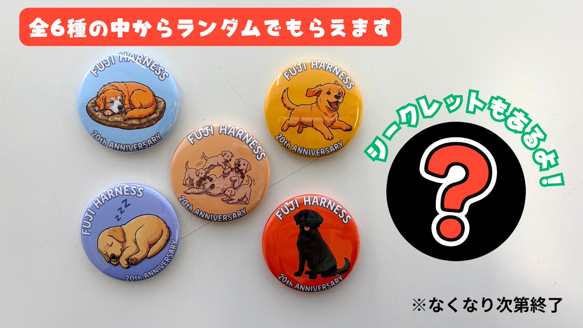 日本盲導犬協会 / Japan Guide Dog Association tweet media