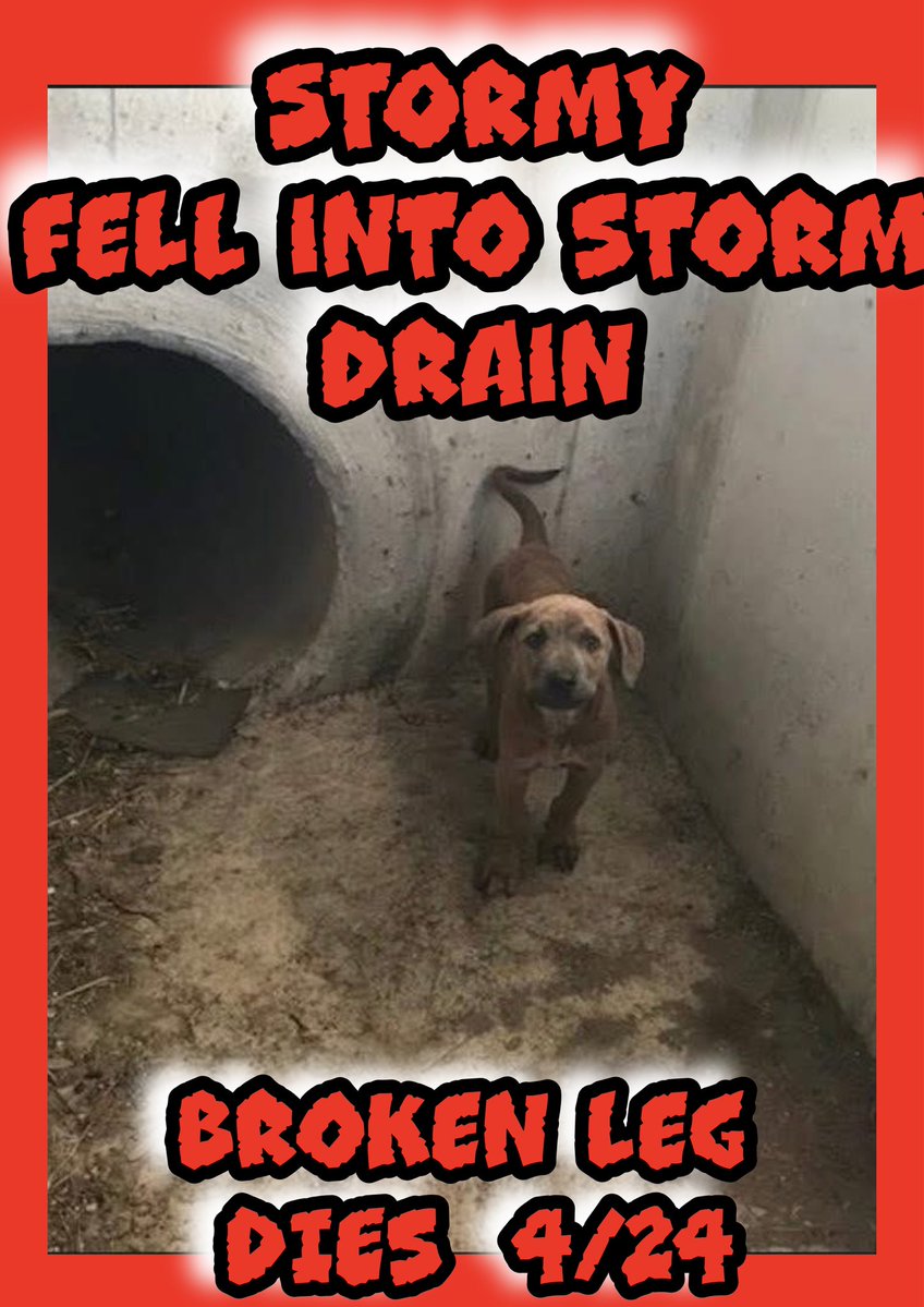 RoCo🇬🇧God Save The King🇬🇧 tweet media