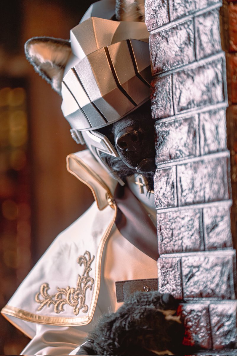 Dunkell🔜 FURST CLASS TRIP tweet media