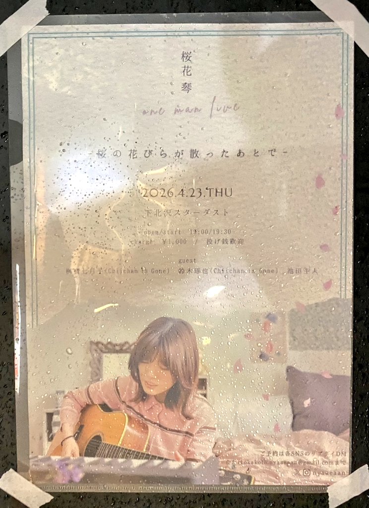 Macプロデュース🐾🐈‍⬛🌈🌉@🐈‍⬛ネコDAMON2026終演🐈️ tweet media