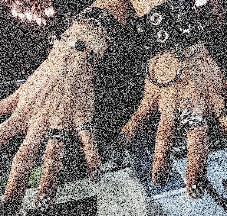 .˚𓏲♱ cove | mdni | 18+ tweet media