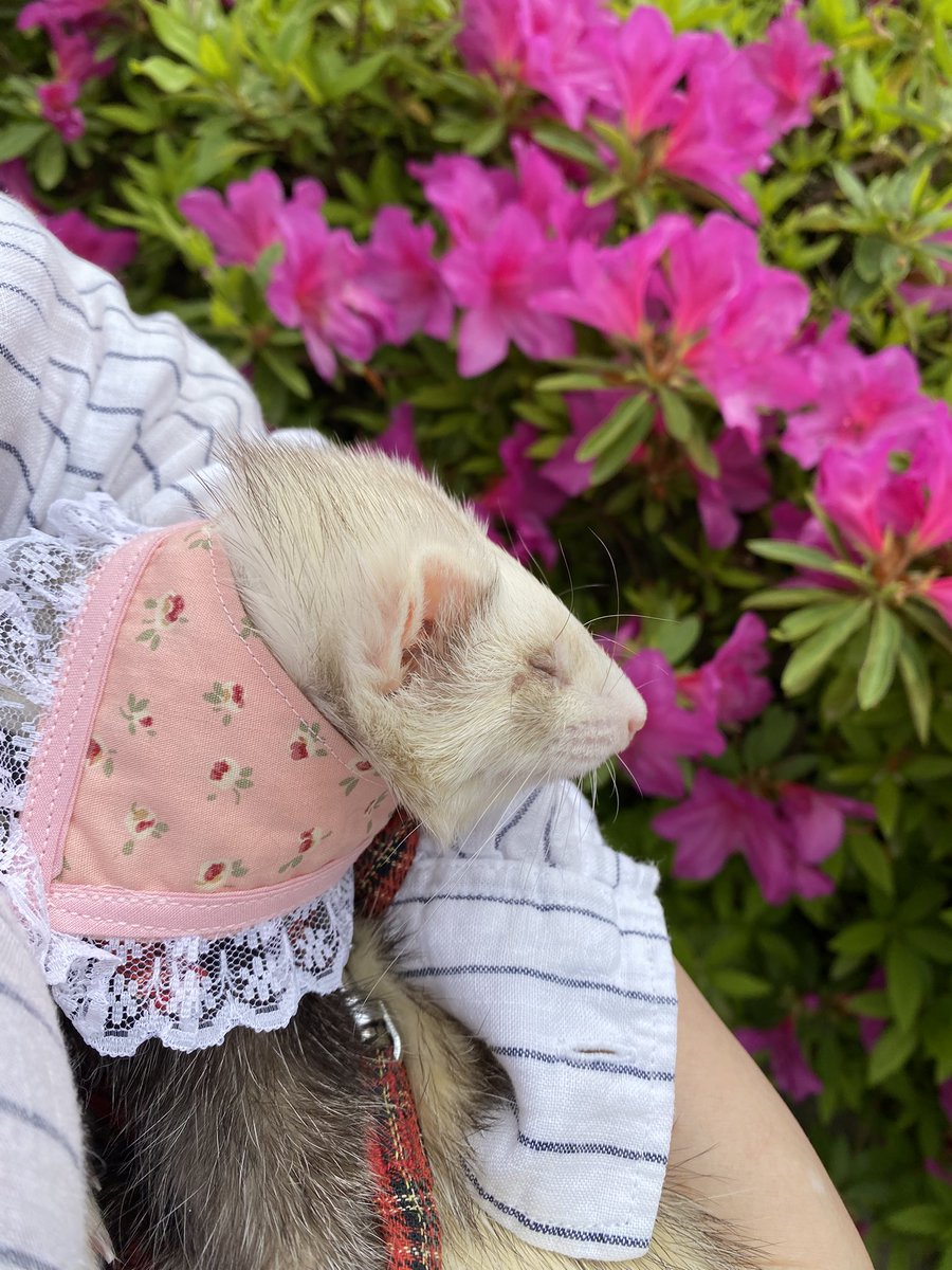 圧【あつ】 tweet media