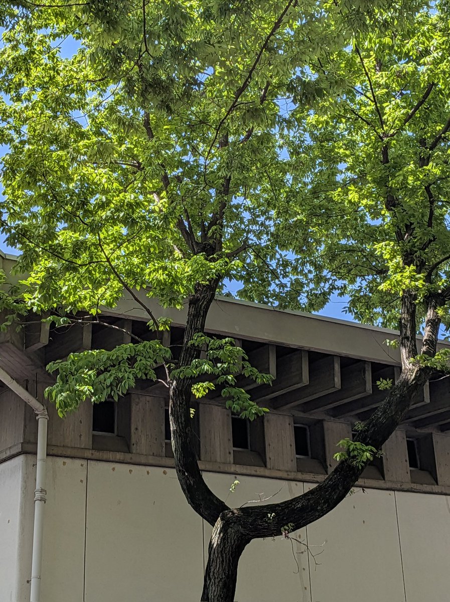 南　央美(OMI MINAMI) tweet media