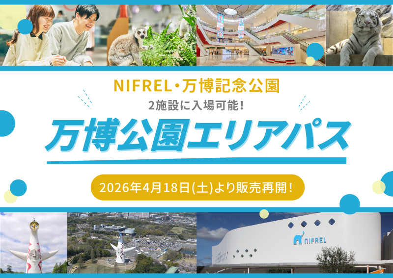 大阪観光局【公式】 tweet media