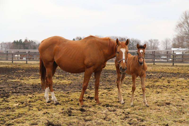 Nakayama-San tweet media