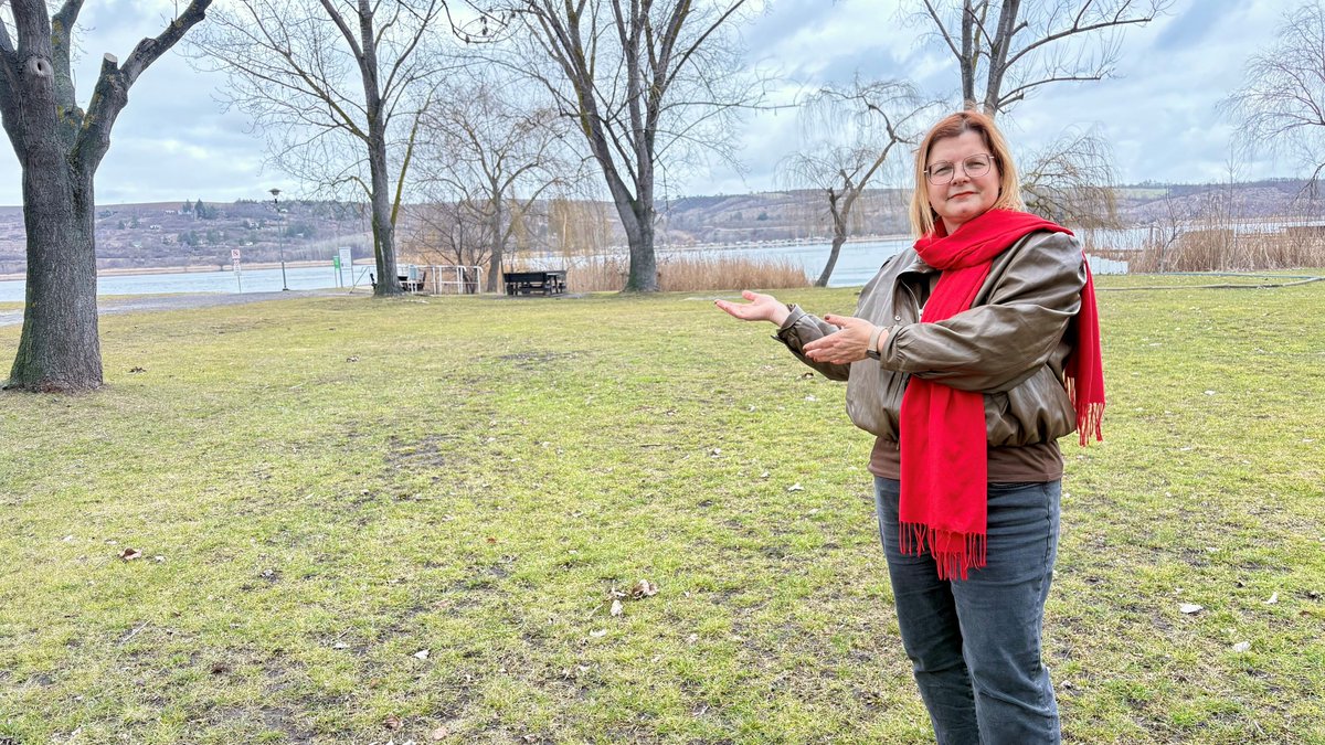 Regionalmarkt in Aseleben: Vom TV-Bauer bis zum Fischer: Diese Highlights locken zum Regionalmarkt ins Seegebiet mz.de/lokal/eisleben…