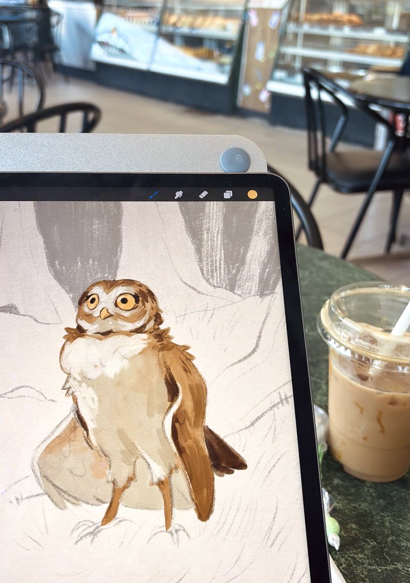 dori 🐠 tweet media