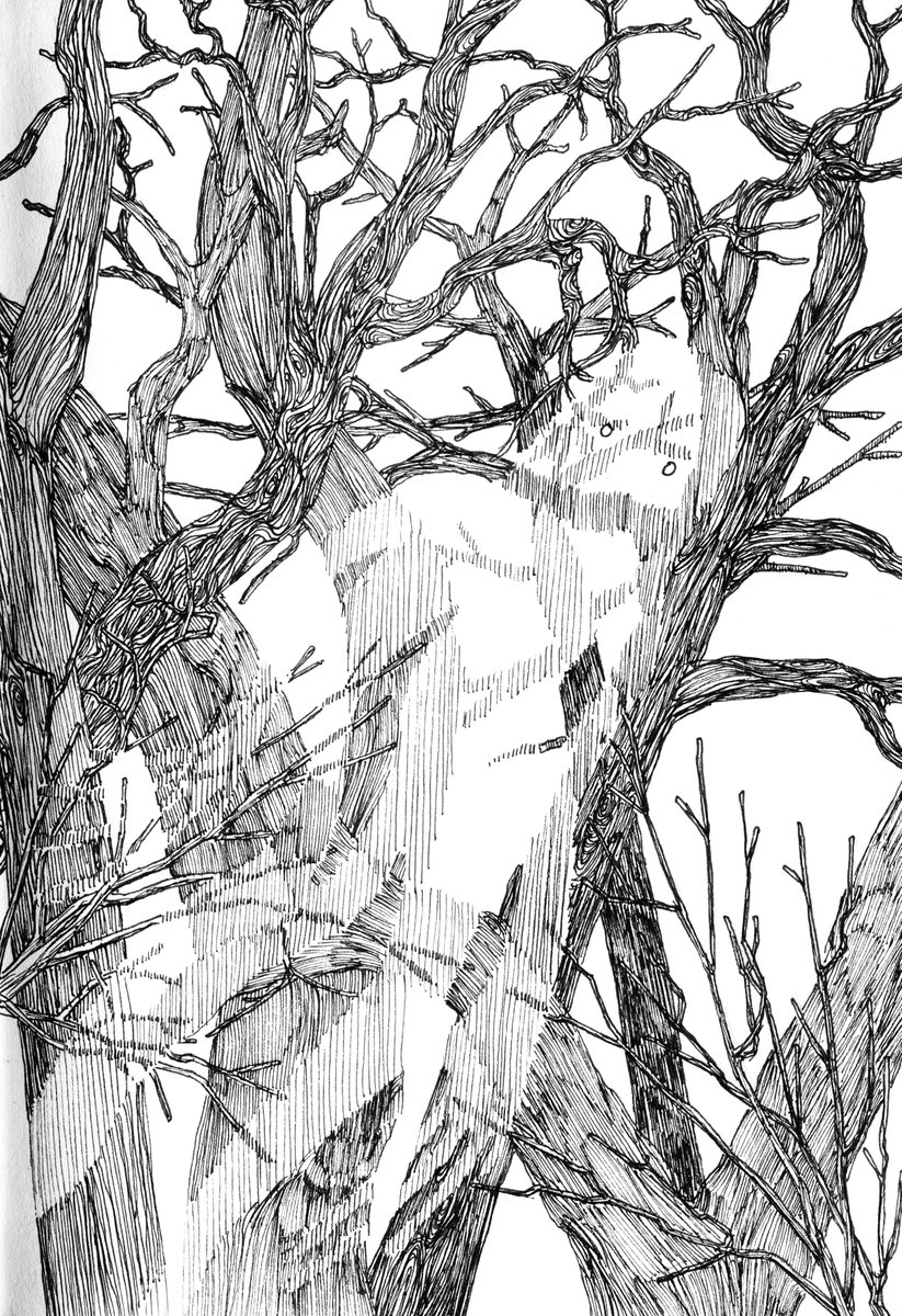 nervewing tweet media